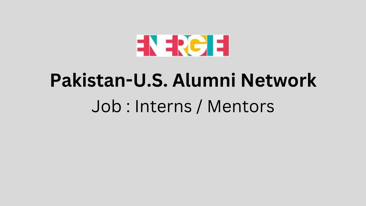Interns / Mentors