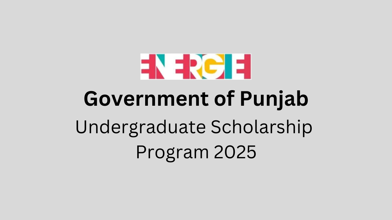 Undergraduate Scholarship Program 2025