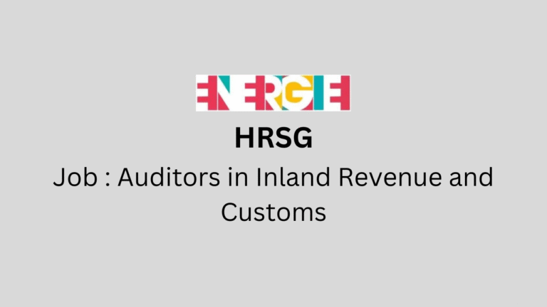 Auditors in Inland Revenue and Customs