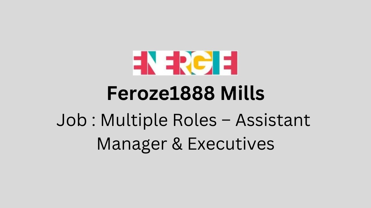 Multiple Roles – Assistant Manager & Executives