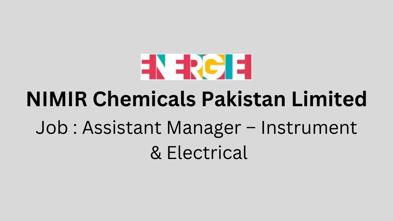 Assistant Manager – Instrument & Electrical