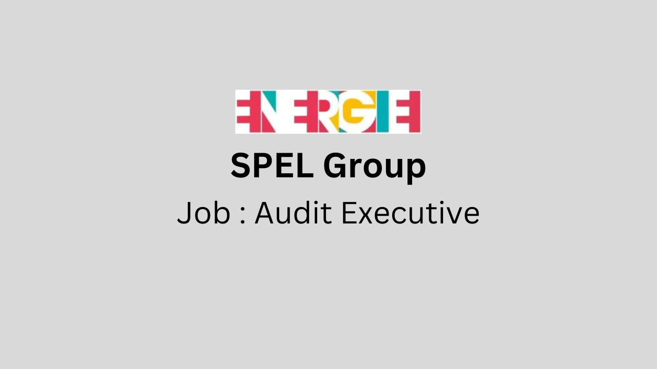 Audit Executive