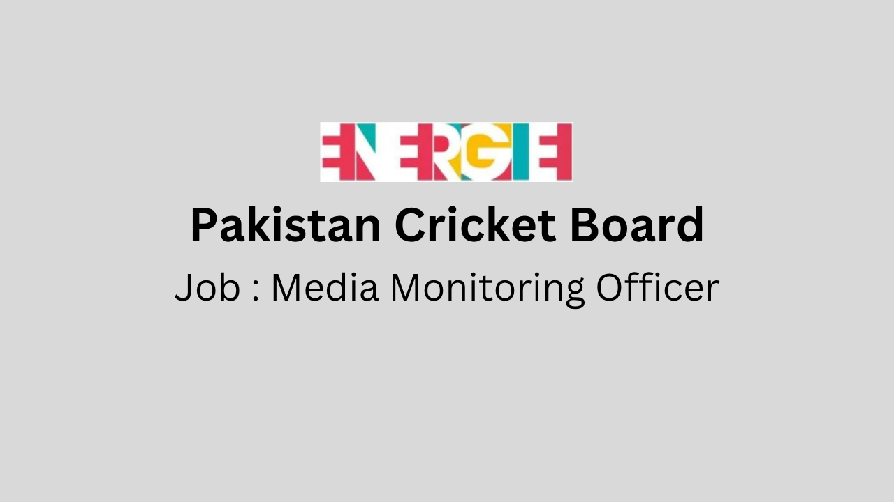 Media Monitoring Officer