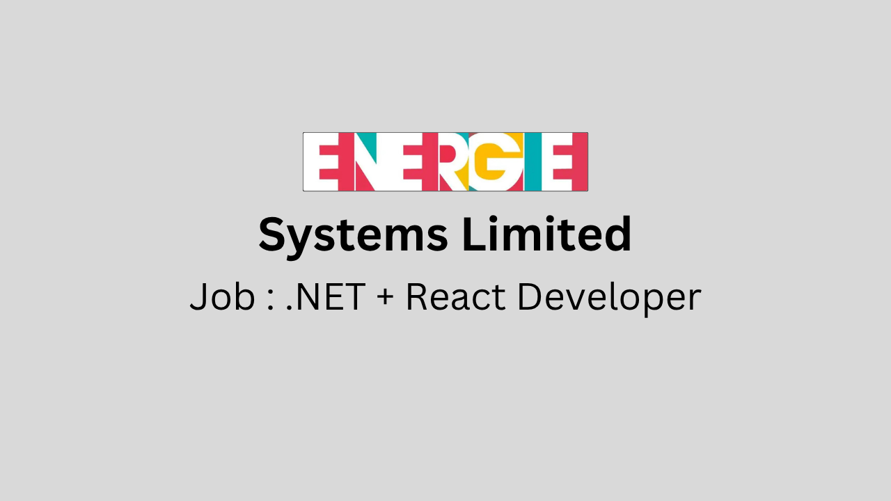 .NET + React Developer