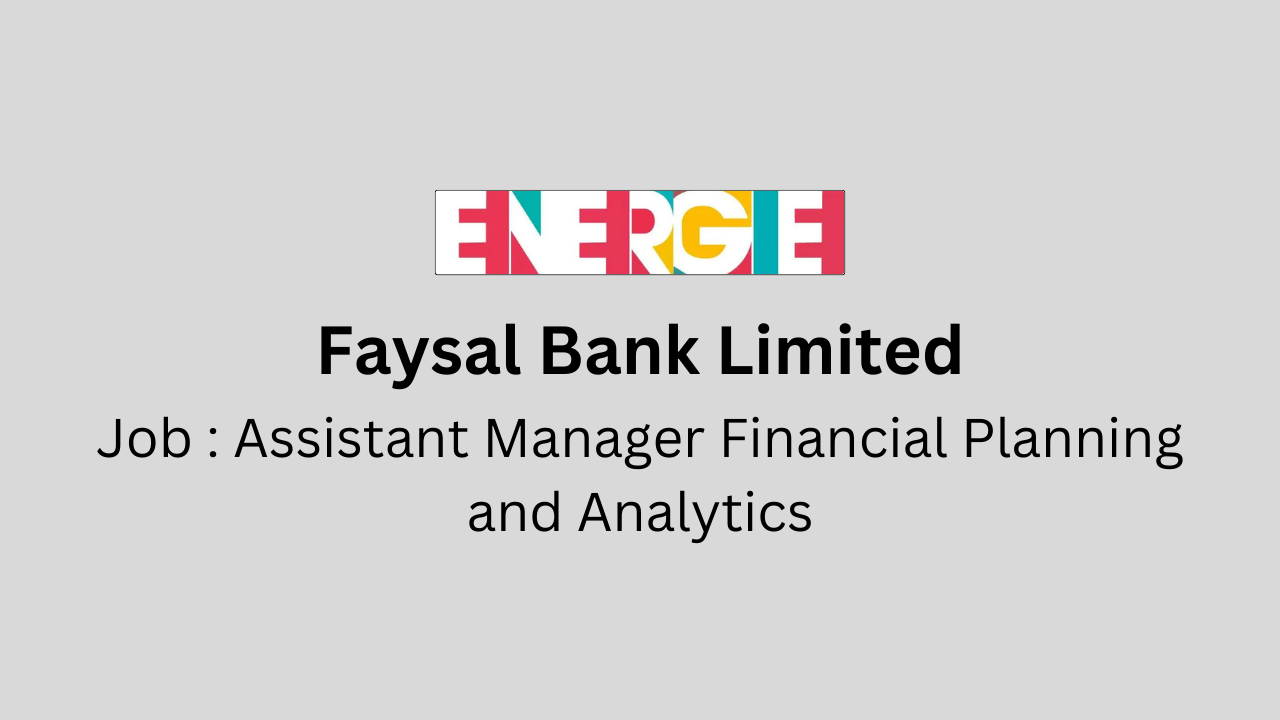 Assistant Manager Financial Planning and Analytics